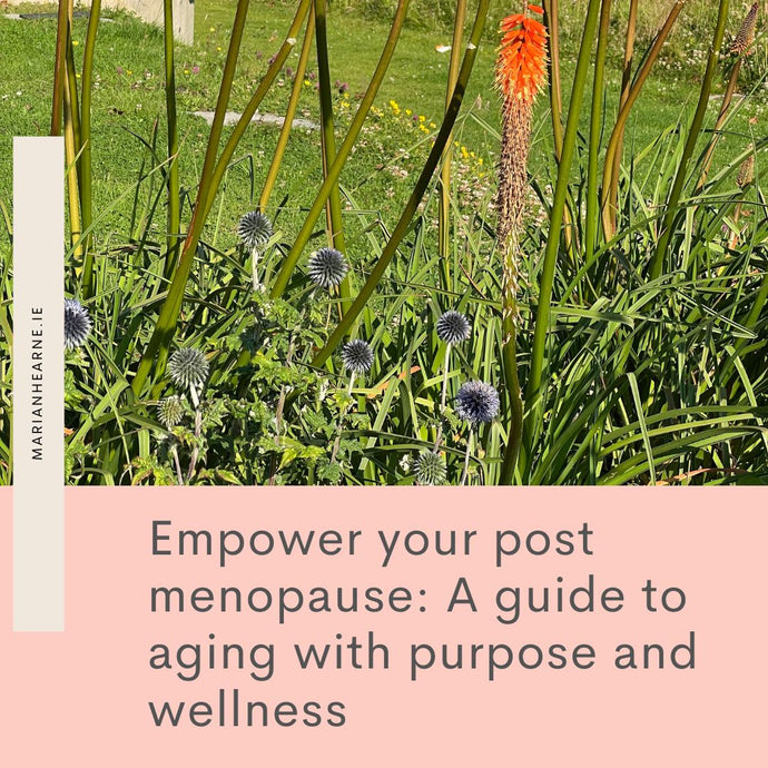 Empower Your Post Menopause: A guide to aging with purpose and wellness