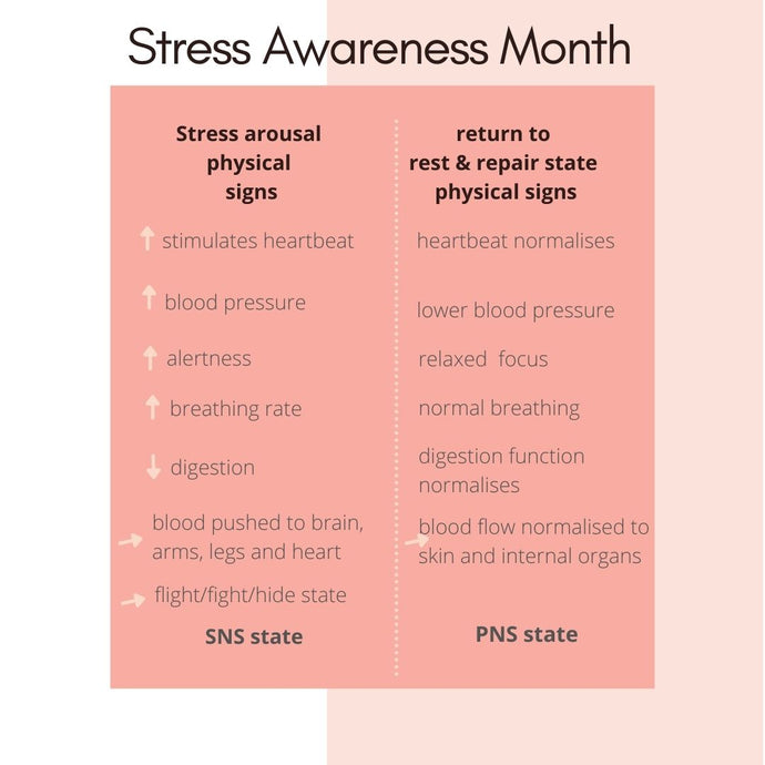 What happens in a stress response